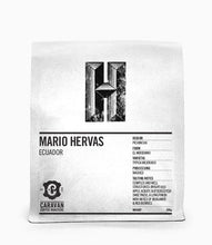 Load image into Gallery viewer, MARIO HERVAS
