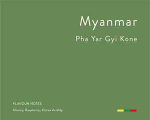 Myanmar Microlot