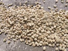 Load image into Gallery viewer, Indian Monsooned Malabar AA &lt;br&gt;Green Coffee Beans
