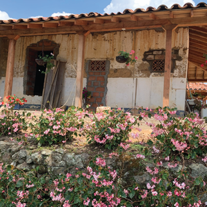 Santa Bárbara Natural, Colombia