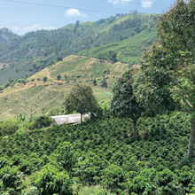 Load image into Gallery viewer, Santa Bárbara Natural, Colombia
