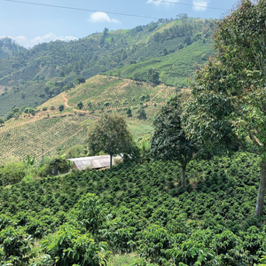 Santa Bárbara Natural, Colombia