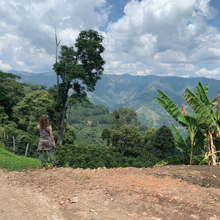 Load image into Gallery viewer, Santa Bárbara Natural, Colombia
