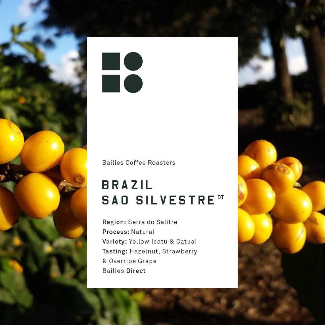 Brazil Sao Silvestre Natural