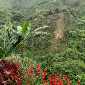 Colombia, Los Naranjos