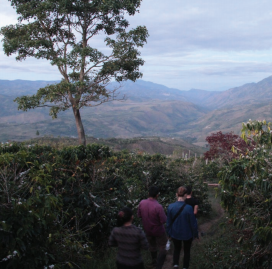 Colombia El Carmen (Suarez Project)