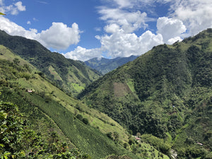 MONTE BONITO, COLOMBIA