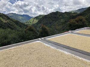 MONTE BONITO, COLOMBIA