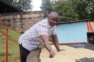 Kenya - Kiambu Special Sundried