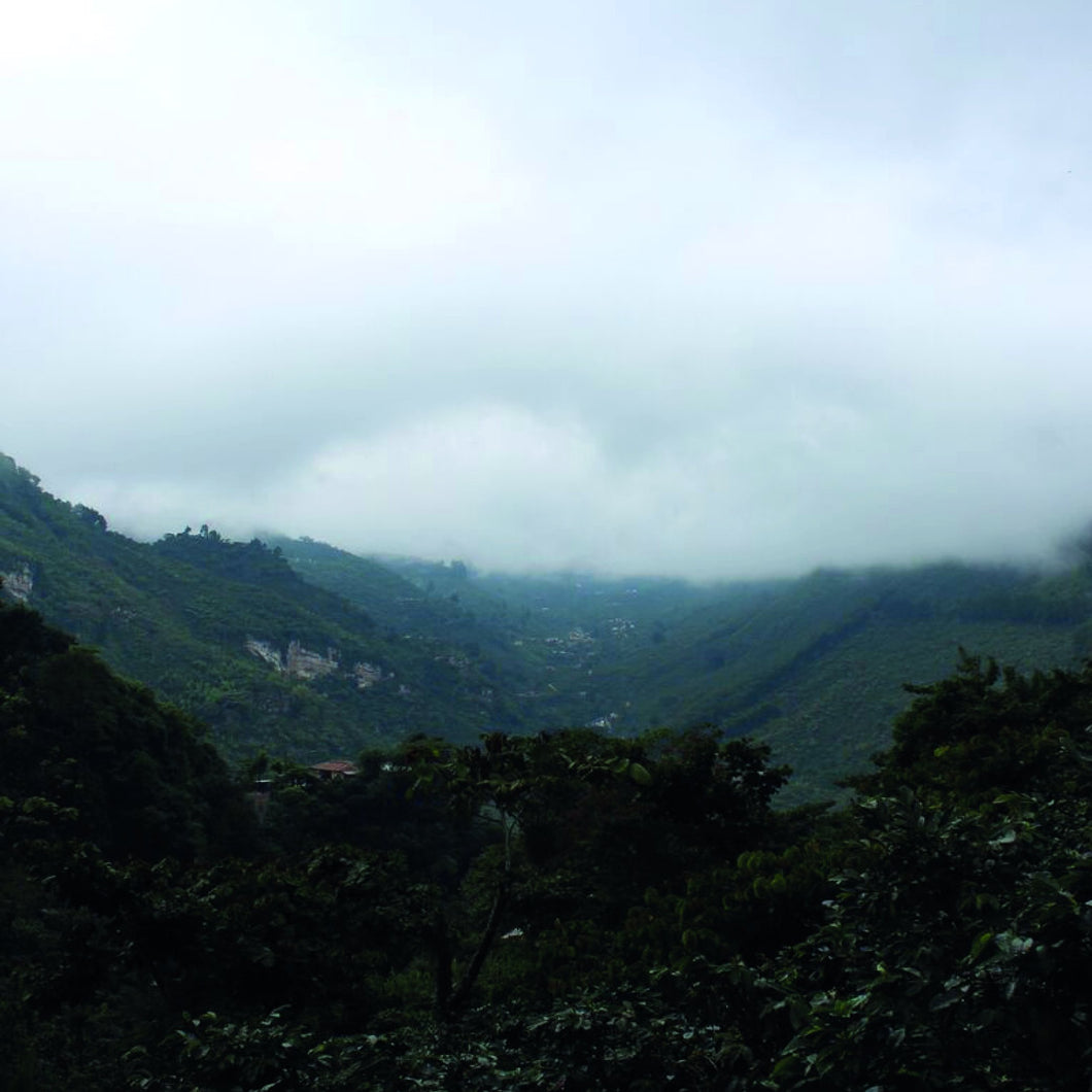 Guatemala - Finca La Bolsa