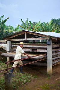 OPORAPA, COLOMBIA