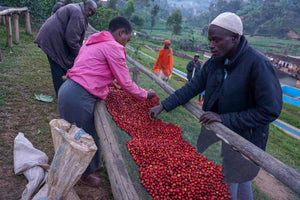 RUHINGA, BURUNDI