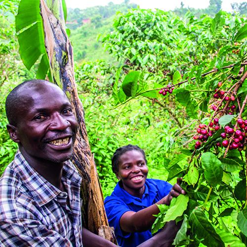 Uganda - Kalingwe